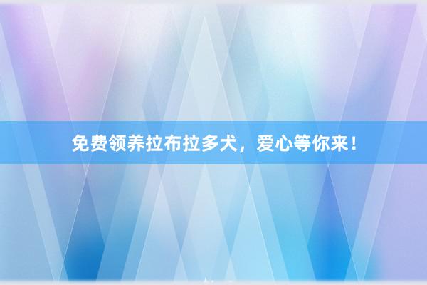 免费领养拉布拉多犬，爱心等你来！